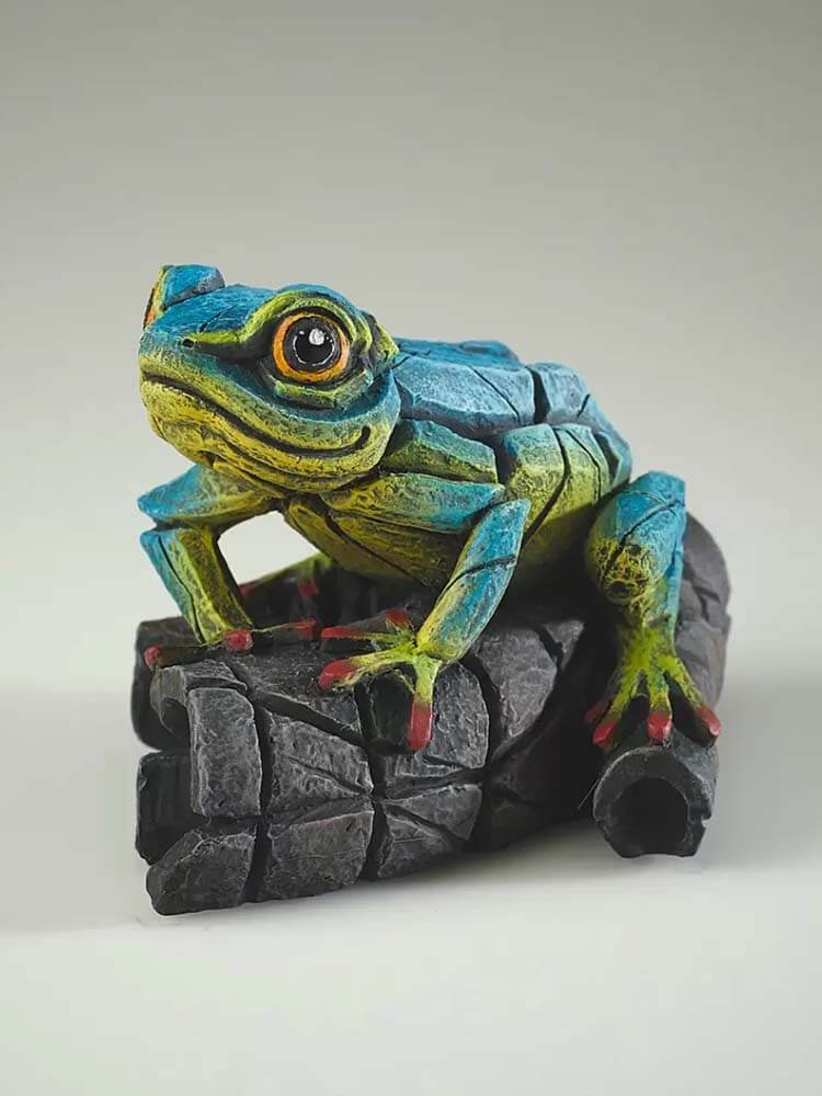 African Tree Frog - Blue Yellow