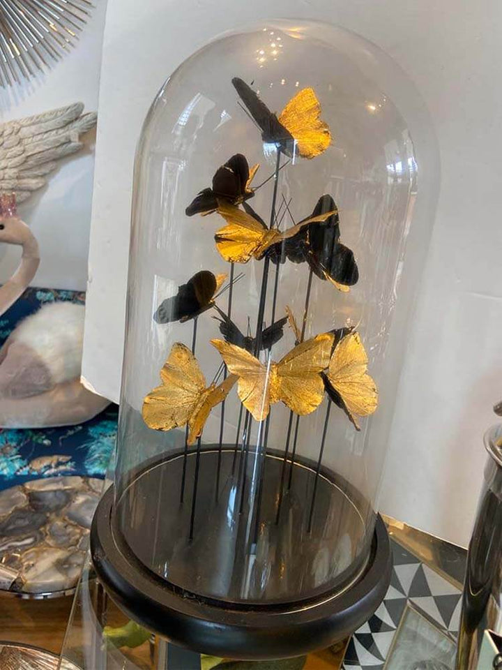 Golden butterflies in glass dome