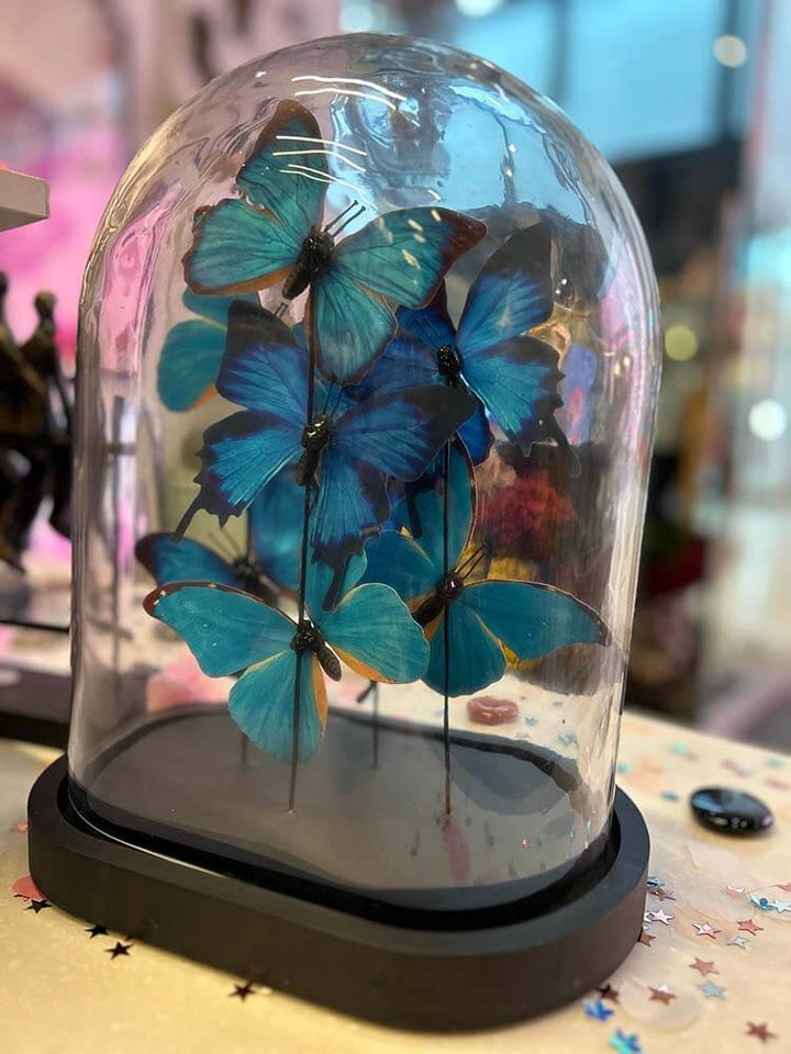 European designer butterfly home decor 