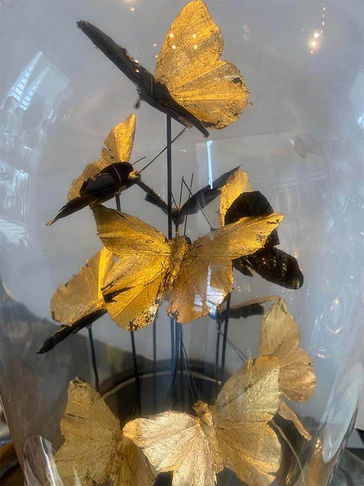 Black and gold butterflies glass dome