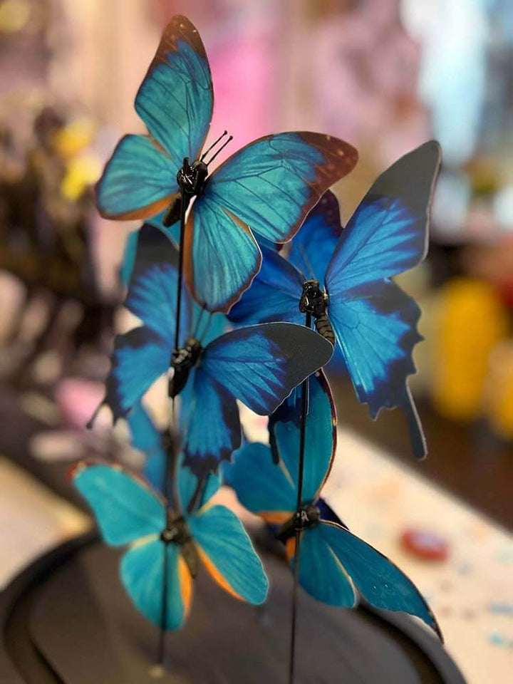 blue butterfly dome, Grand Bleu Butterfly Dome.