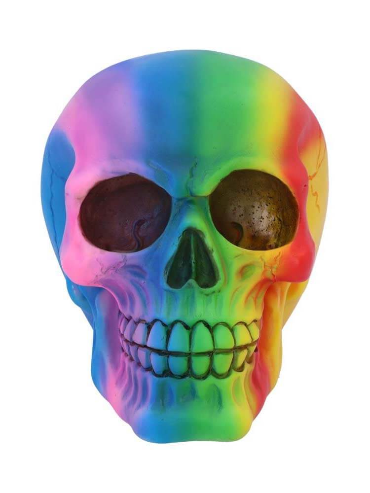 Multi Coloured Rainbow Skull LGBT Gifts