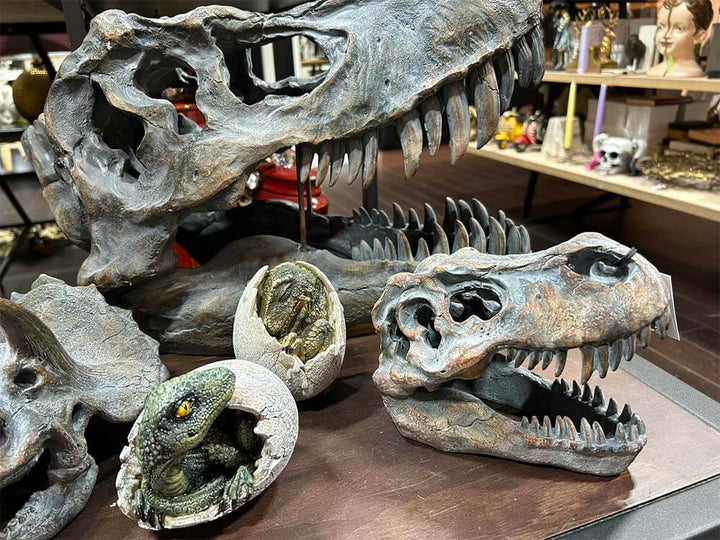 Dinosaurs and baby Dino egg sculptures and ornaments, Large T Rex replica head  