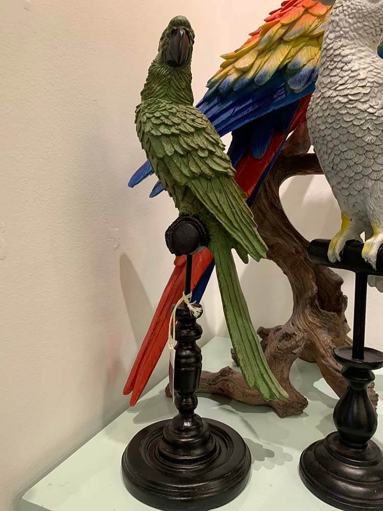 Green Parrot on Pilar, Parrot of Brazil on Perch