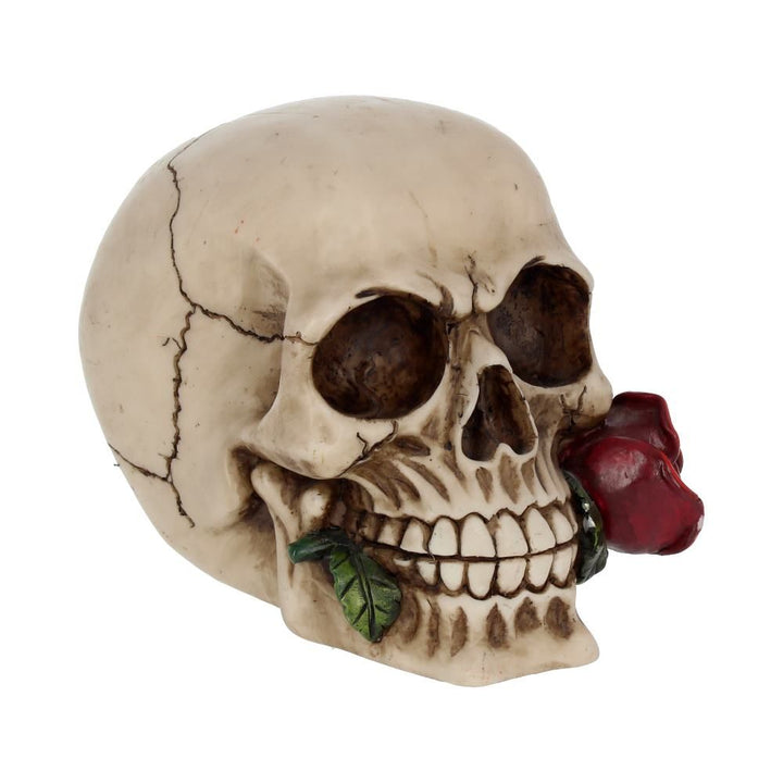 Human Skull:Dead Rose skull