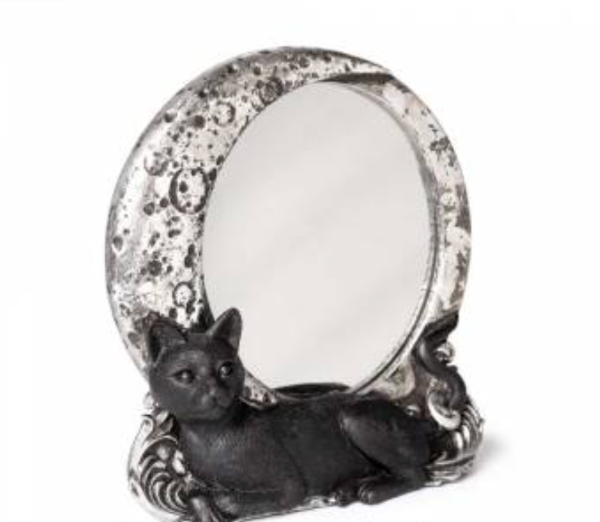 Mirrors - Night Cat Mirror